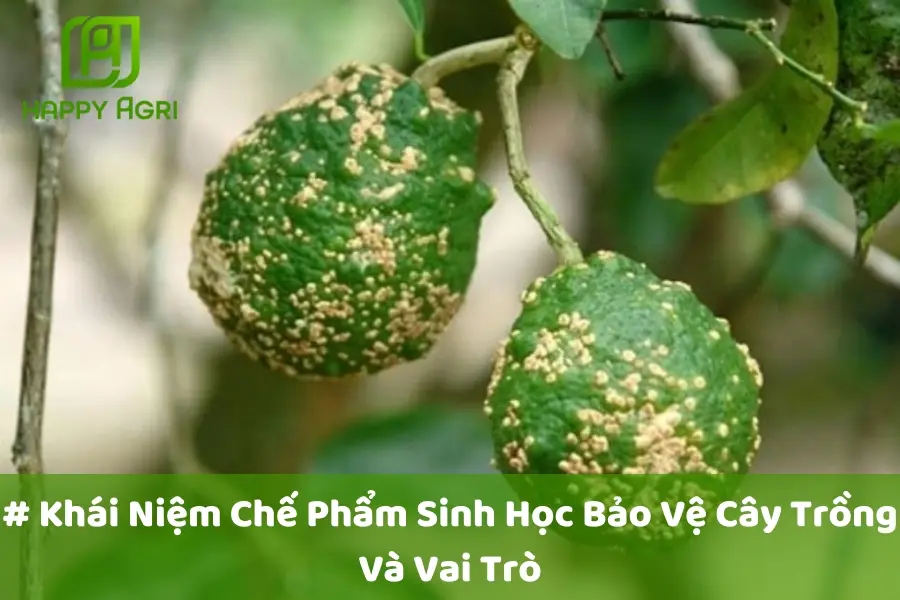 # Khái Niệm Chế Phẩm Sinh Học Bảo Vệ Cây Trồng Và Vai Trò