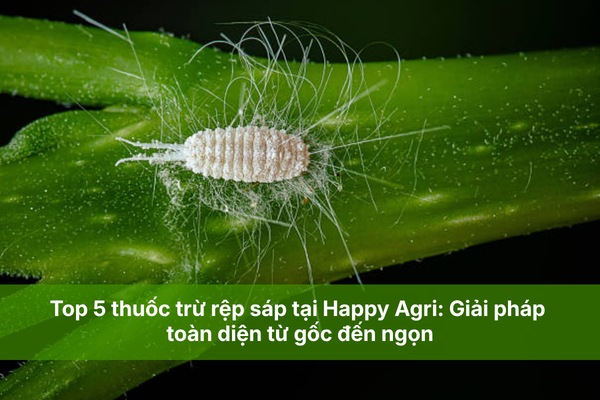 Top 5 thuốc trừ rệp sáp tại Happy Agri