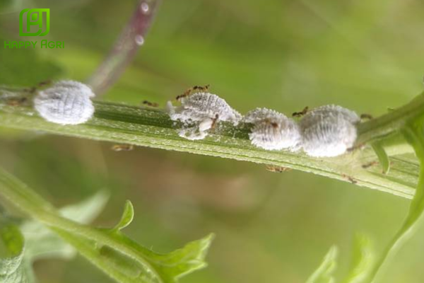  Lưu ý quan trọng để đạt hiệu quả "tiết kiệm" tối đa