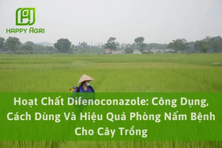 Hoạt Chất Difenoconazole: Công Dụng, Cách Dùng Và Hiệu Quả Phòng Nấm Bệnh Cho Cây Trồng