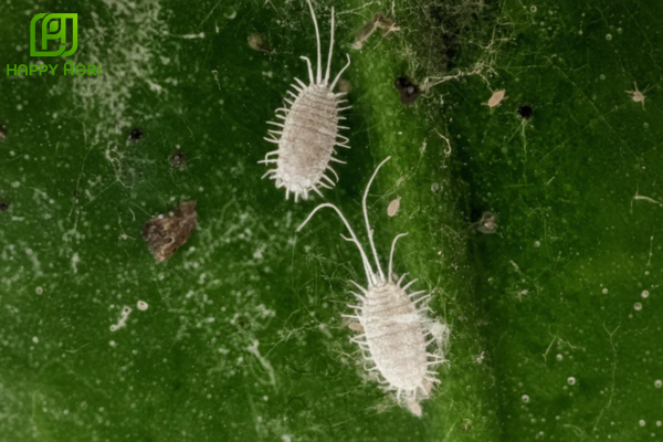 Câu hỏi thường gặp