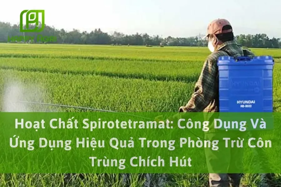 Hoạt Chất Spirotetramat: Công Dụng Và Ứng Dụng Hiệu Quả Trong Phòng Trừ Côn Trùng Chích Hút