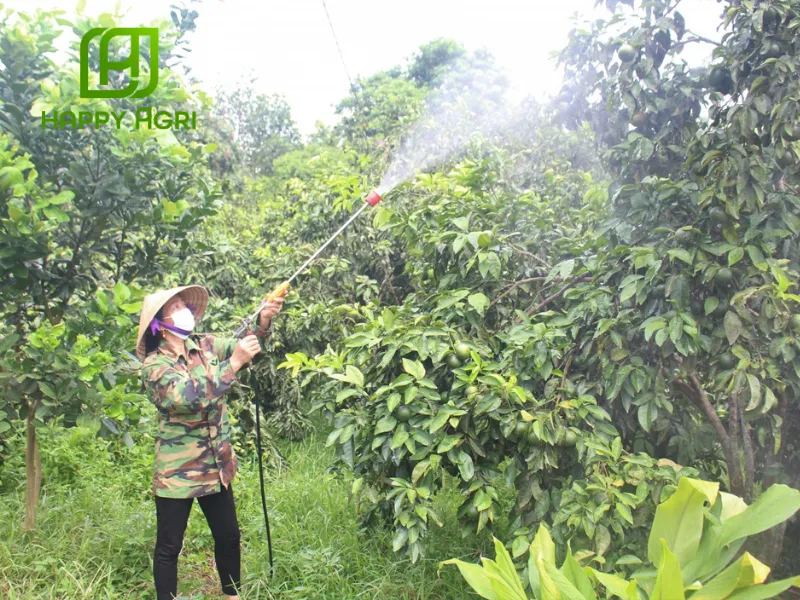  Thuốc Trừ Bệnh AGSOUTHSTAR 42WP Hiệu PROTEMAN FT