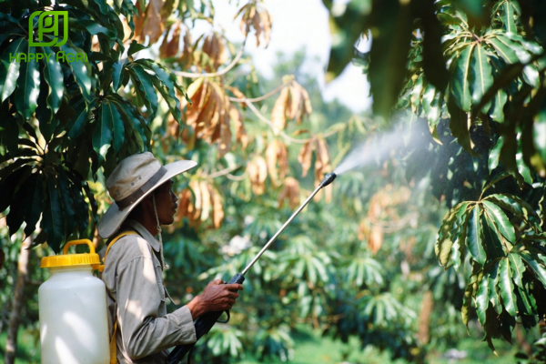 Kỹ thuật phun để đạt hiệu quả 100%