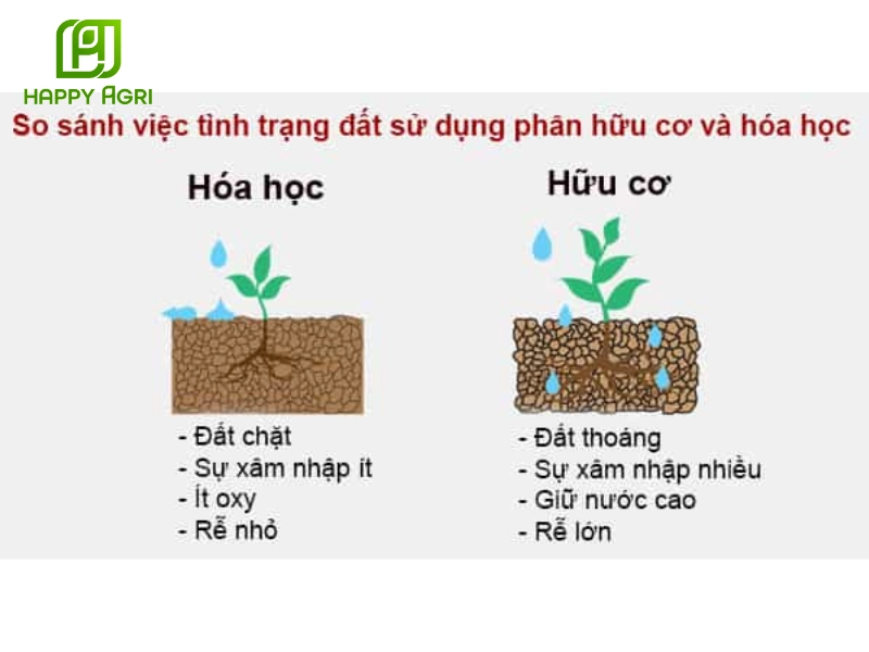 phân bón lá hữu cơ sinh học