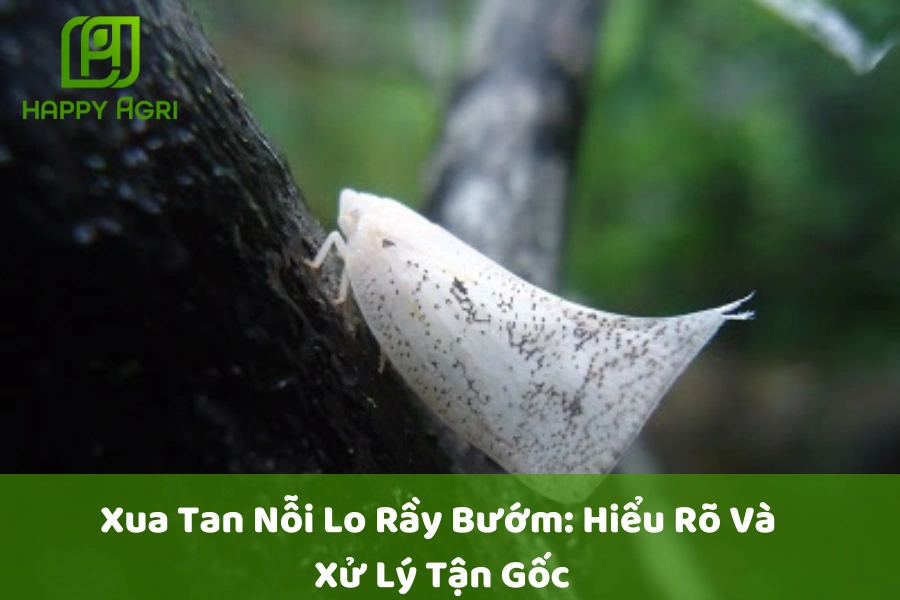 Xua Tan Nỗi Lo Rầy Bướm: Hiểu Rõ Và Xử Lý Tận Gốc