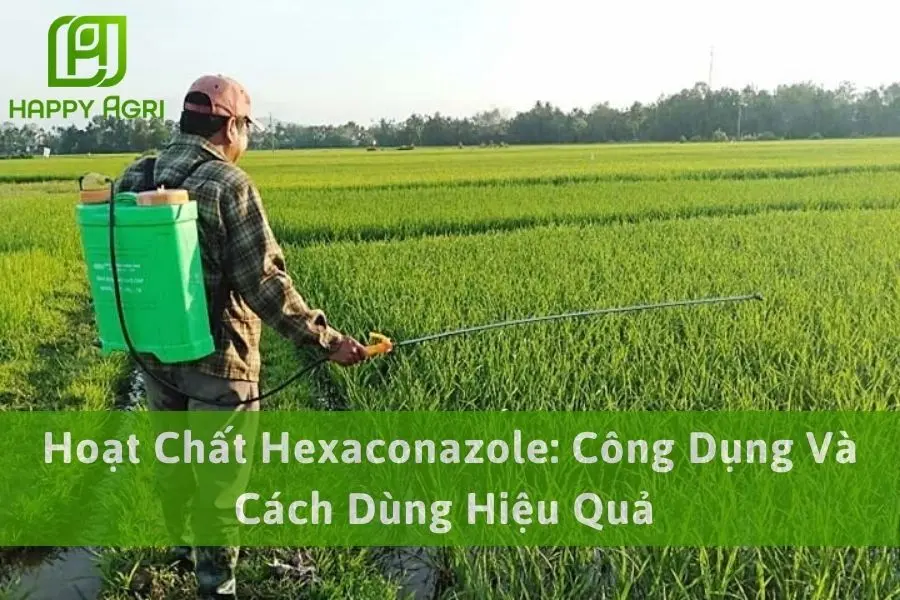 Hoạt Chất Hexaconazole: Công Dụng Và Cách Dùng Hiệu Quả 