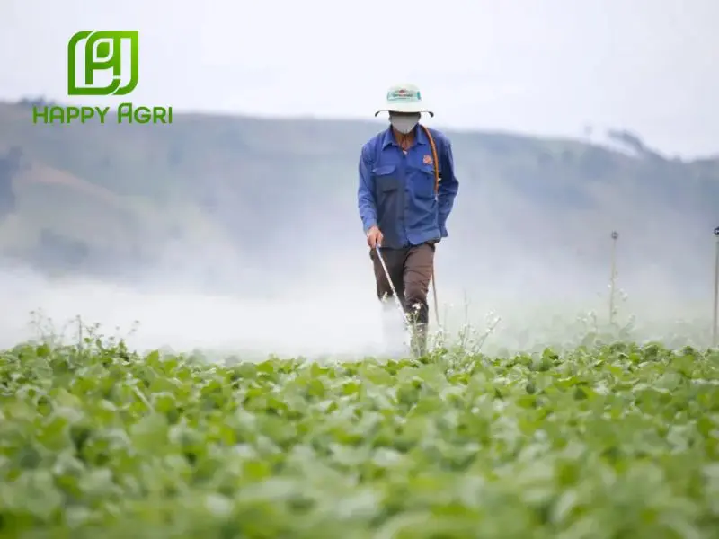Hướng dẫn sử dụng và bảo quản thuốc trừ bệnh Goruden 350SC hiệu quả