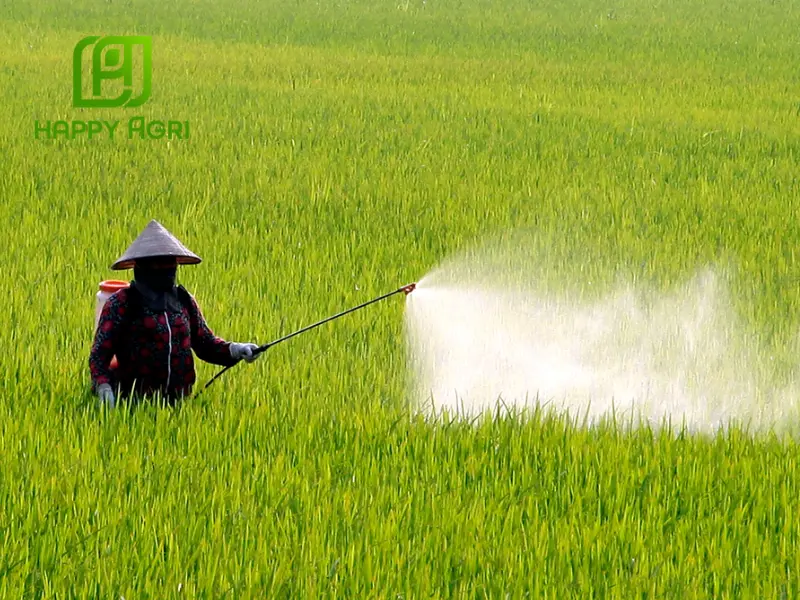 biện pháp phòng trừ sâu bệnh mùa mưa