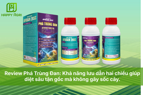 Review Phá Trùng Đan: Khả năng lưu dẫn hai chiều giúp diệt sâu tận gốc mà không gây sốc cây.