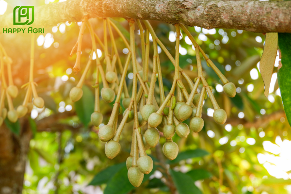 Câu hỏi thường gặp