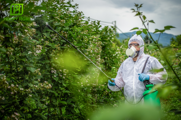 Phác đồ sử dụng Khắc Trùng Đan đạt hiệu quả cao nhất