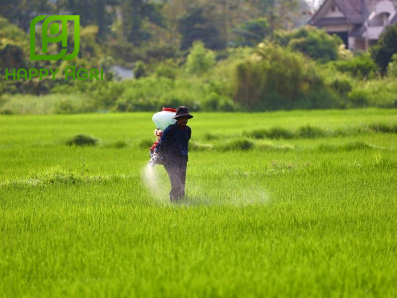 nông dân phun thuốc trừ bệnh TD-LUMORDIE 500WP