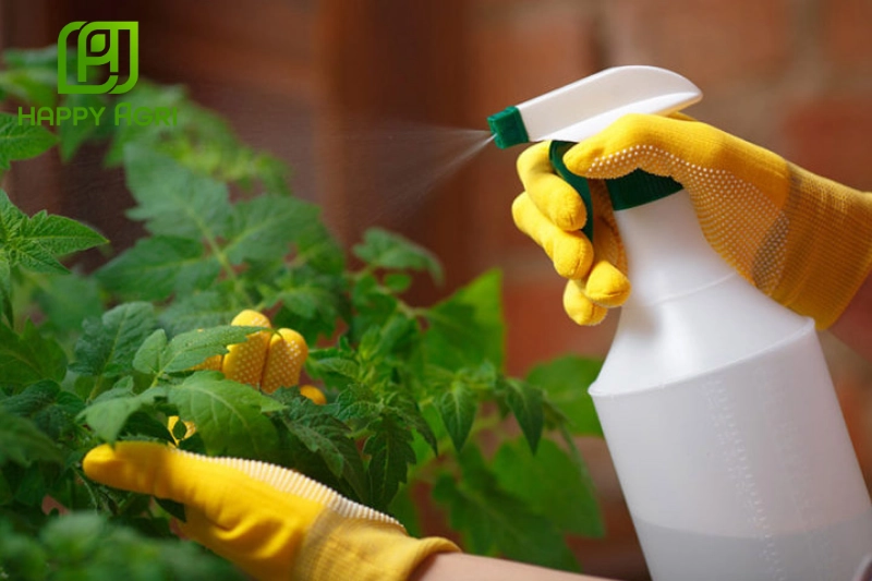 Chiến lược phòng bệnh tổng hợp hiệu quả cuối mùa cho cây trồng