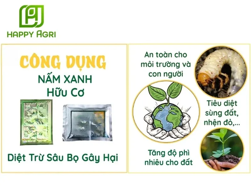 Diệt côn trùng gây hại bằng các chế phẩm sinh học cho cây trồng