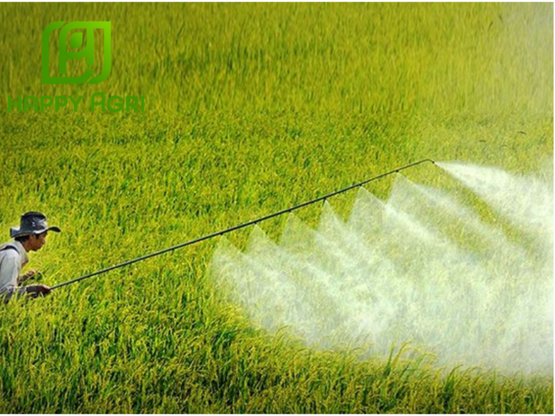nông dân phun Thuốc trừ sâu ROSSER 450SC HIỆU SANNHEN - 450 