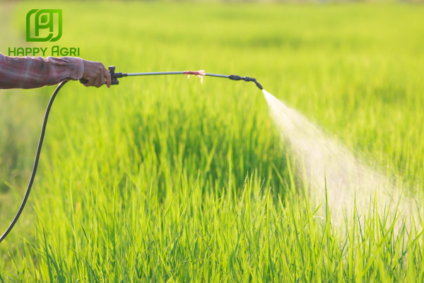 Lưu ý khi sử dụng 