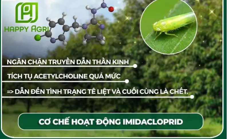 imidacloprid