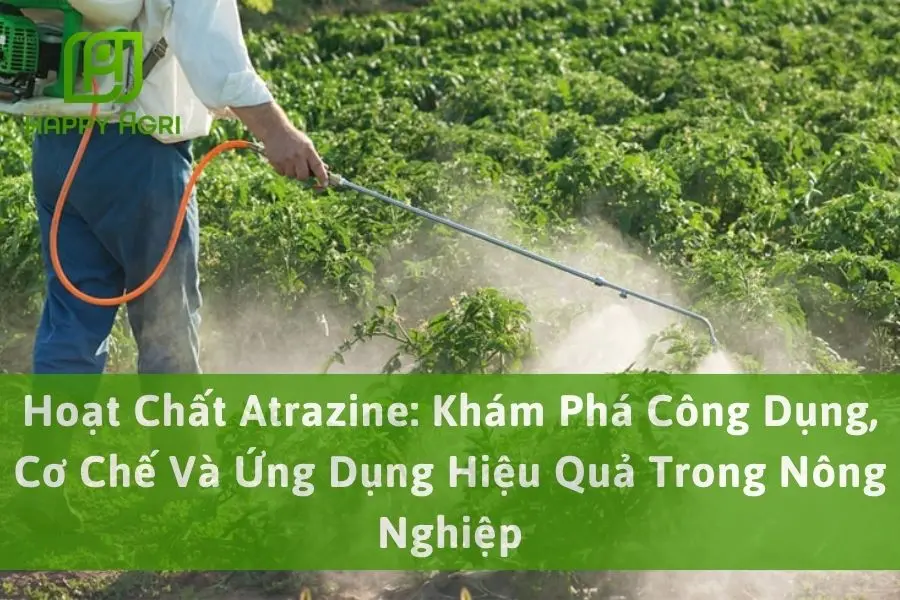 Hoạt Chất Atrazine: Khám Phá Công Dụng, Cơ Chế Và Ứng Dụng Hiệu Quả Trong Nông Nghiệp
