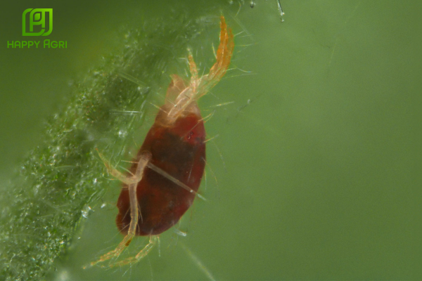 Câu hỏi thường gặp