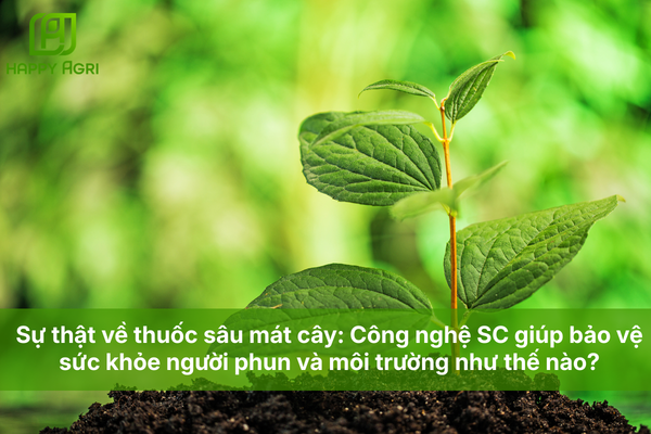 Sự thật về thuốc sâu mát cây: Công nghệ SC giúp bảo vệ sức khỏe người phun và môi trường như thế nào?