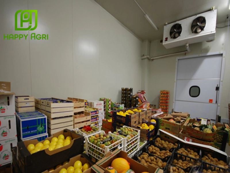 Các yếu tố ảnh hưởng đến chất lượng và thời gian bảo quản trái cây xuất khẩu