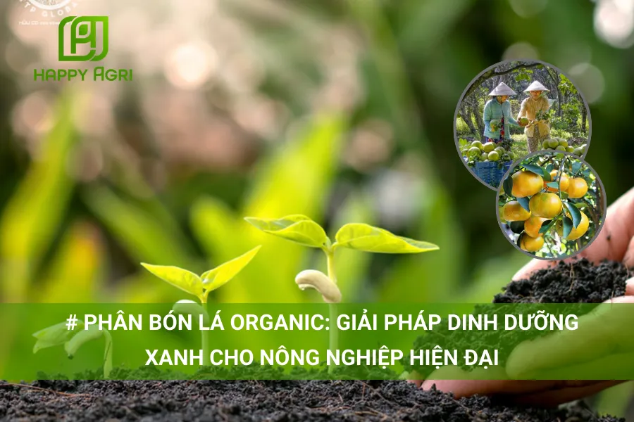 Phân Bón Lá Organic: Giải Pháp Dinh Dưỡng Xanh Cho Nông Nghiệp Hiện Đại