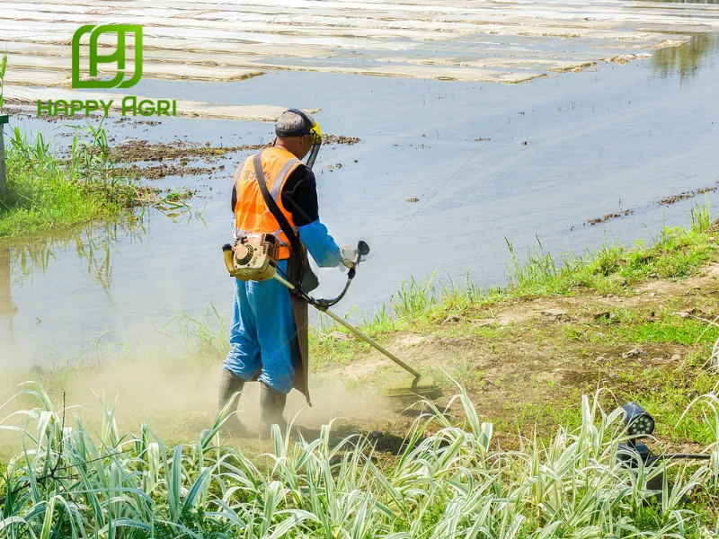 Hướng dẫn dùng ETOGGO 20SC Hiệu BOMBI 