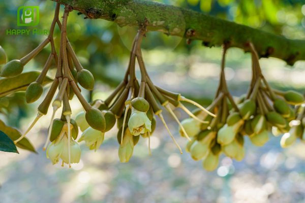 Câu hỏi thường gặp
