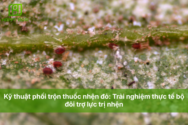 Kỹ thuật phối trộn thuốc nhện đỏ: Trải nghiệm thực tế bộ đôi trợ lực trị nhện