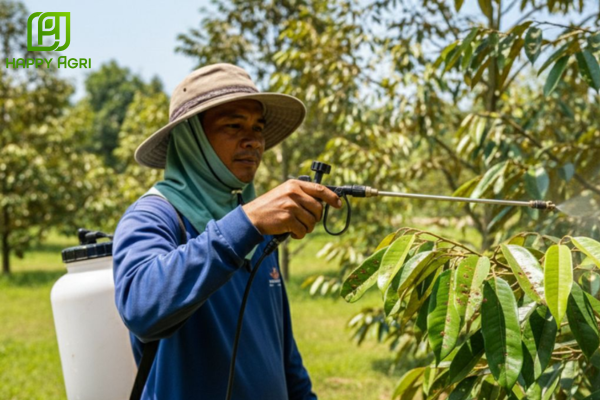 Lưu ý khi sử dụng
