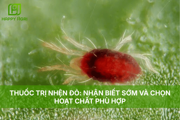 THUỐC TRỊ NHỆN ĐỎ: NHẬN BIẾT SỚM VÀ CHỌN HOẠT CHẤT PHÙ HỢP