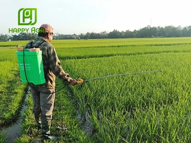Hướng dẫn bảo quản thuốc trừ bệnh chứa hoạt chất Hexaconazole