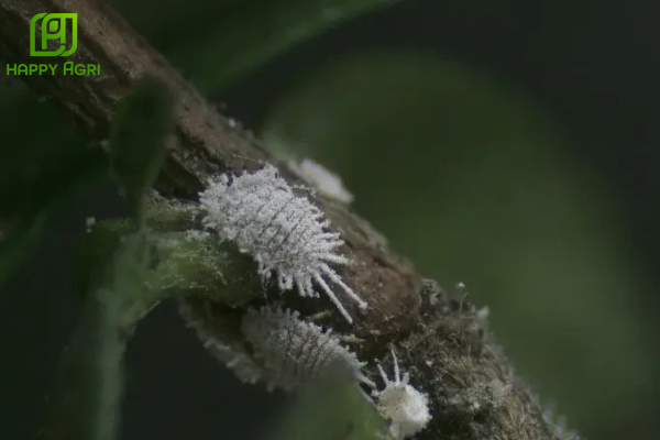 Câu hỏi thường gặp