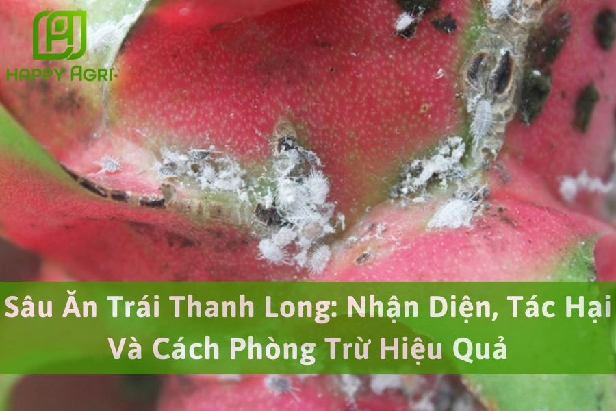 Sâu Ăn Trái Thanh Long: Nhận Diện, Tác Hại Và Cách Phòng Trừ Hiệu Quả
