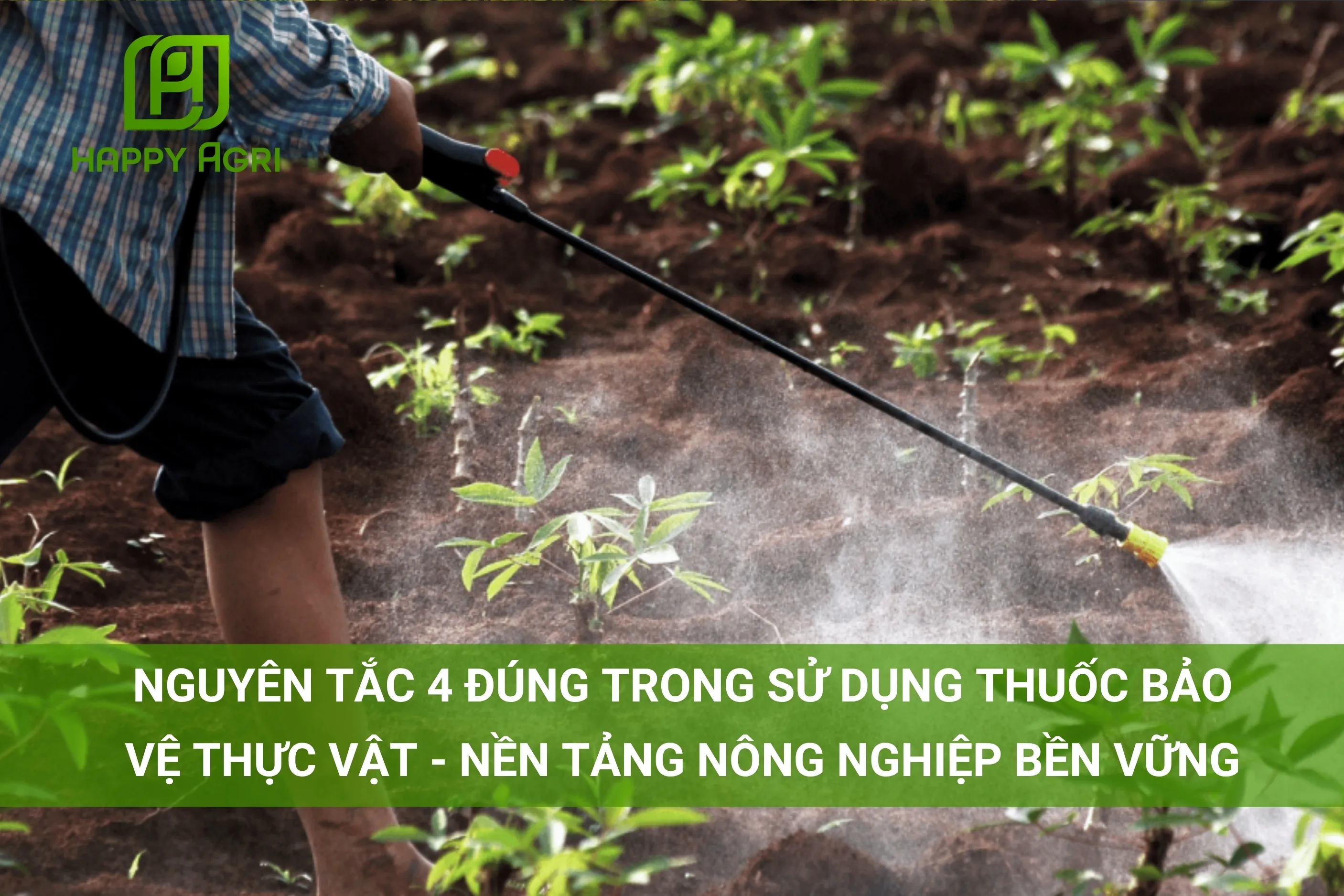 NGUYÊN TẮC 4 ĐÚNG TRONG SỬ DỤNG THUỐC BẢO VỆ THỰC VẬT - NỀN TẢNG NÔNG NGHIỆP BỀN VỮNG