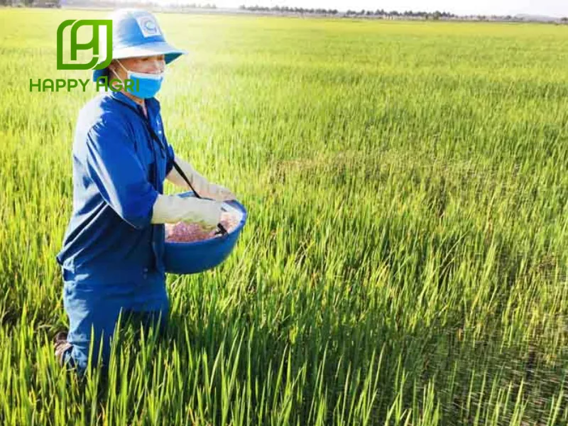 Các loại phân bón organic có thể dùng được hiệu quả nhất