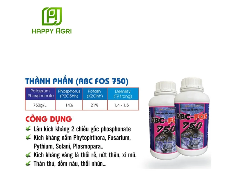 rầy chổng cánh trên cây có múi