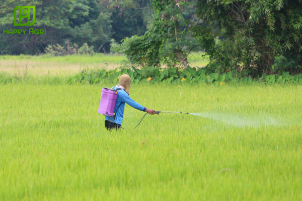 Thử nghiệm quy mô nhỏ – "Phép thử" an toàn nhất