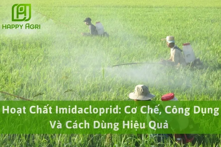 Hoạt Chất Imidacloprid: Cơ Chế, Công Dụng Và Cách Dùng Hiệu Quả 