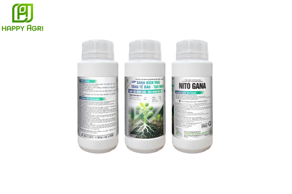 Thông tin chung về Phân tích NITO GANA Hiệu SAHA KÍCH TRÁI – TĂNG TẾ BÀO – TẠO MÀU
