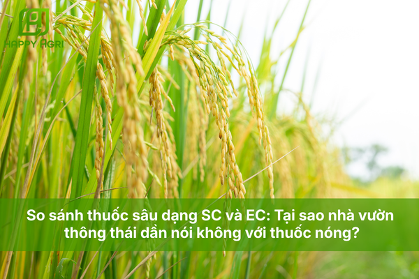 So sánh thuốc sâu dạng SC và EC: Tại sao nhà vườn thông thái dần nói không với thuốc nóng?