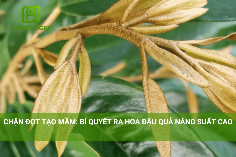 Chặn Đọt Tạo Mầm: Bí Quyết Ra Hoa Đậu Quả Năng Suất Cao