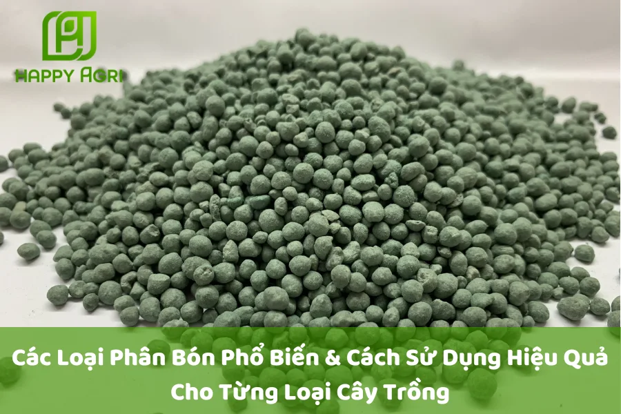 Các Loại Phân Bón Phổ Biến & Cách Sử Dụng Hiệu Quả Cho Từng Loại Cây Trồng