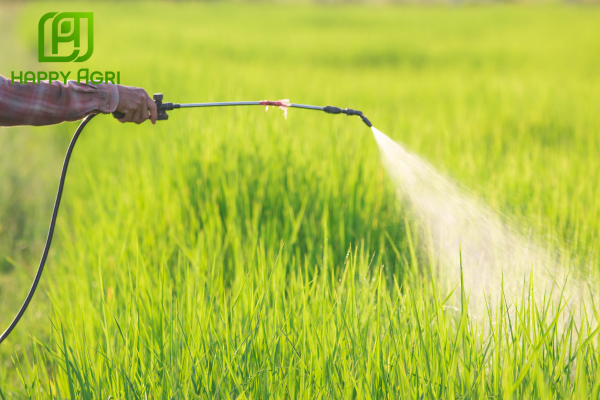  Lưu ý khi sử dụng