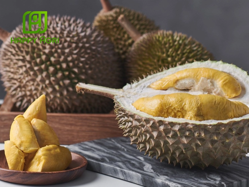 Chọn giống sầu riêng phù hợp với điều kiện địa phương