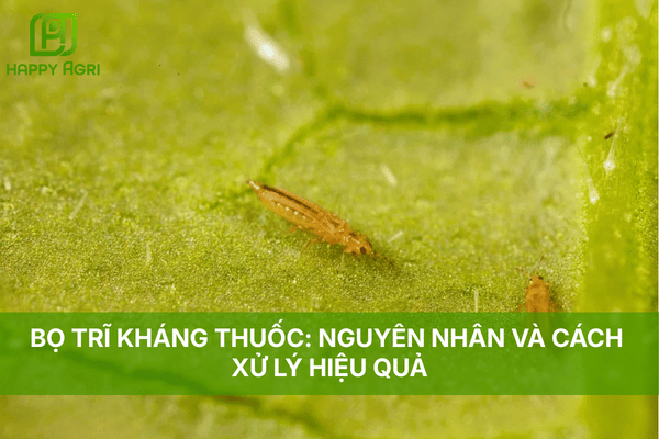BỌ TRĨ KHÁNG THUỐC: NGUYÊN NHÂN VÀ CÁCH XỬ LÝ HIỆU QUẢ