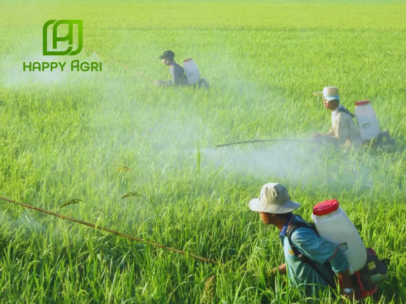 Hướng Dẫn Sử Dụng Thuốc trừ sâu NEKKO 69WP