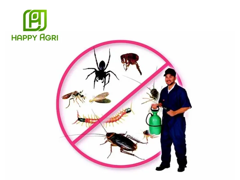 kiểm soát chất lượng và quản lý rủi ro khi phun thuốc diệt côn trùng