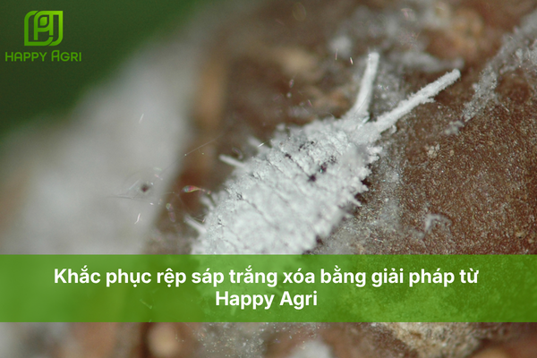 "Bí kíp 'Lưu dẫn hai chiều' – Tại sao Khắc Trùng Đan lại bảo vệ cây lâu hơn?